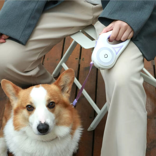 Dog Leash, LED Light Dog Leash, Night Safety Dog Leash, Automatic Retractable Dog Leash, Tangle-Free Dog Leash, High-Strength Anti-Bite Rope, Pet Training Leash, RGB Light Dog Leash, Touch Control Dog Leash, Precision Bearing Dog Leash